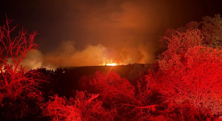 Ross Fire becomes one of largest wildfires on record in North Texas

 Clio