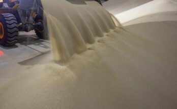 Amid global conflict, US plans first phosphate plant in decades

 Clio