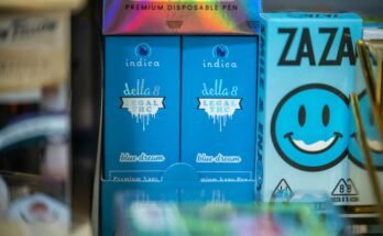 Marijuana industry sues Texas over THC ban, claims state monopoly

 Clio