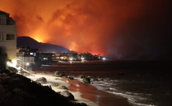 California governor signs bill establishing smoke damage presumption

 Clio