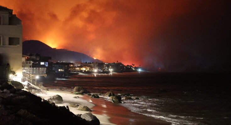 California governor signs bill establishing smoke damage presumption
Clio California governor signs bill establishing smoke damage presumption
Clio