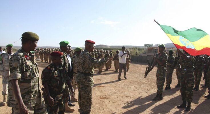 UN High Commissioner for Human Rights urges de-escalation as fighting intensifies in Ethiopia – JURIST

 Clio