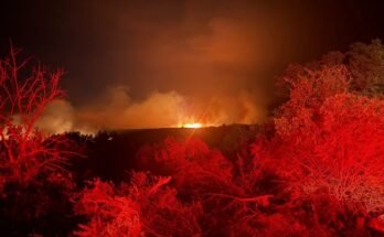 Rain brings much-needed relief to North Texas wildfires

 Clio