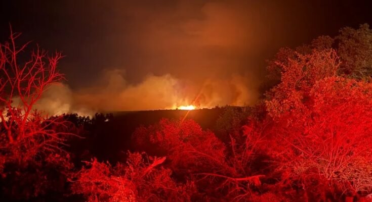 Rain brings much-needed relief to North Texas wildfires

 Clio