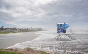 Texas and Louisiana receive tropical storm warnings as system develops

 Clio
