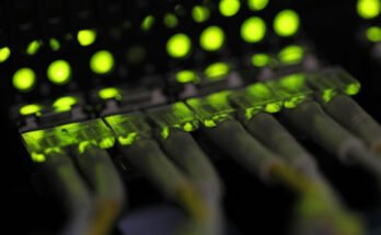 Japanese digital agency hit by unauthorized server access

 Clio