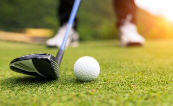 ‘Most successful’ hole-in-one bonus insurance operator pleads guilty to fraud

 Clio