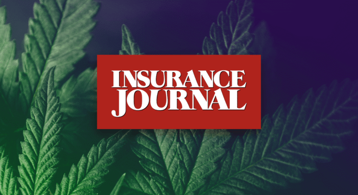 Opinion: How a federal ban on intoxicating cannabis products will reshape risk and coverage

 Clio