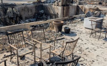 When natural disasters strike, these camps give kids a safe place to recover Clio