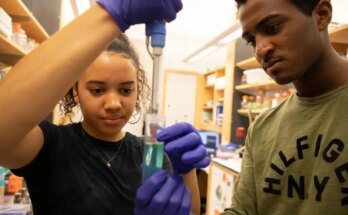 OPINION: We need more black professionals in STEM fields

 Clio