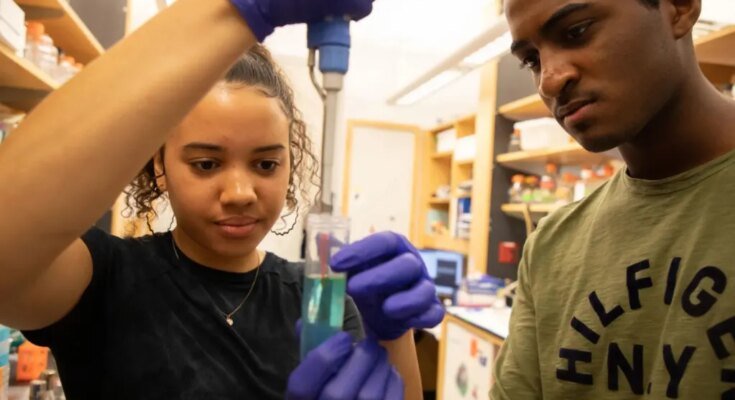 OPINION: We need more black professionals in STEM fields

 Clio
