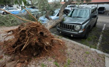 Phoenix hit by hail, strong winds, damaging vehicles in valley

 Clio