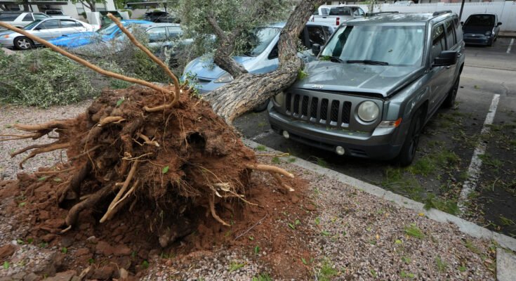 Phoenix hit by hail, strong winds, damaging vehicles in valley

 Clio