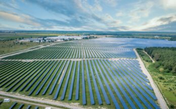 Insurer not granted dispatch in M Georgia solar farm claim, appeals court says

 Clio