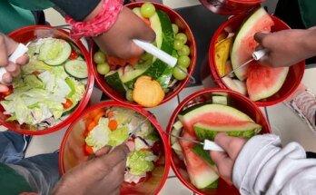 Les écoles génèrent d’énormes quantités de déchets alimentaires. Voici comment le freiner
 Clio